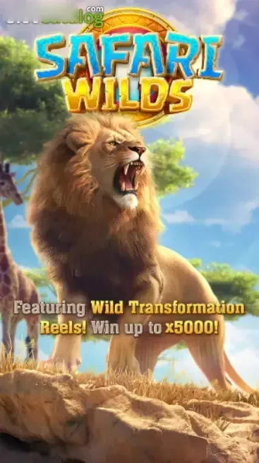 Safari Wilds